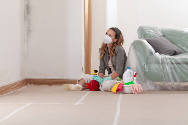 Reliable Mold Remediation contractor in Fairfax, MN by WQB Mold Removal